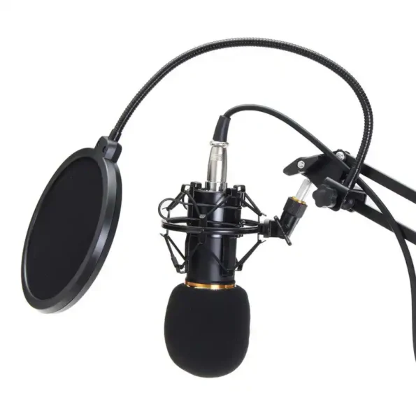 BanCo BM800 Condenser Recording Microphone